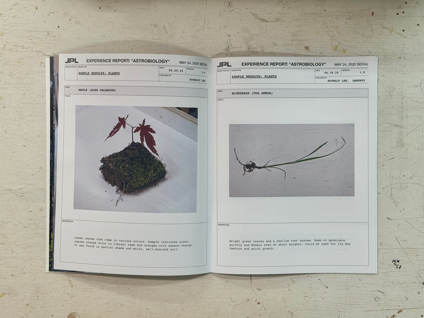 Space Program: Infinity – Experience Report "Astrobiology" Zine