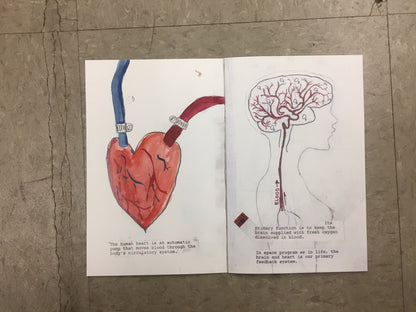 A Space Program DVD (Heart Brain Feedback System)