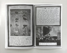 Load image into Gallery viewer, Satan Ceramics Zine (2015)