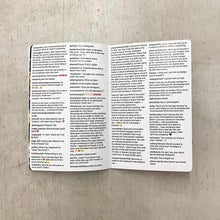 Load image into Gallery viewer, Swiss Passport Office Zine