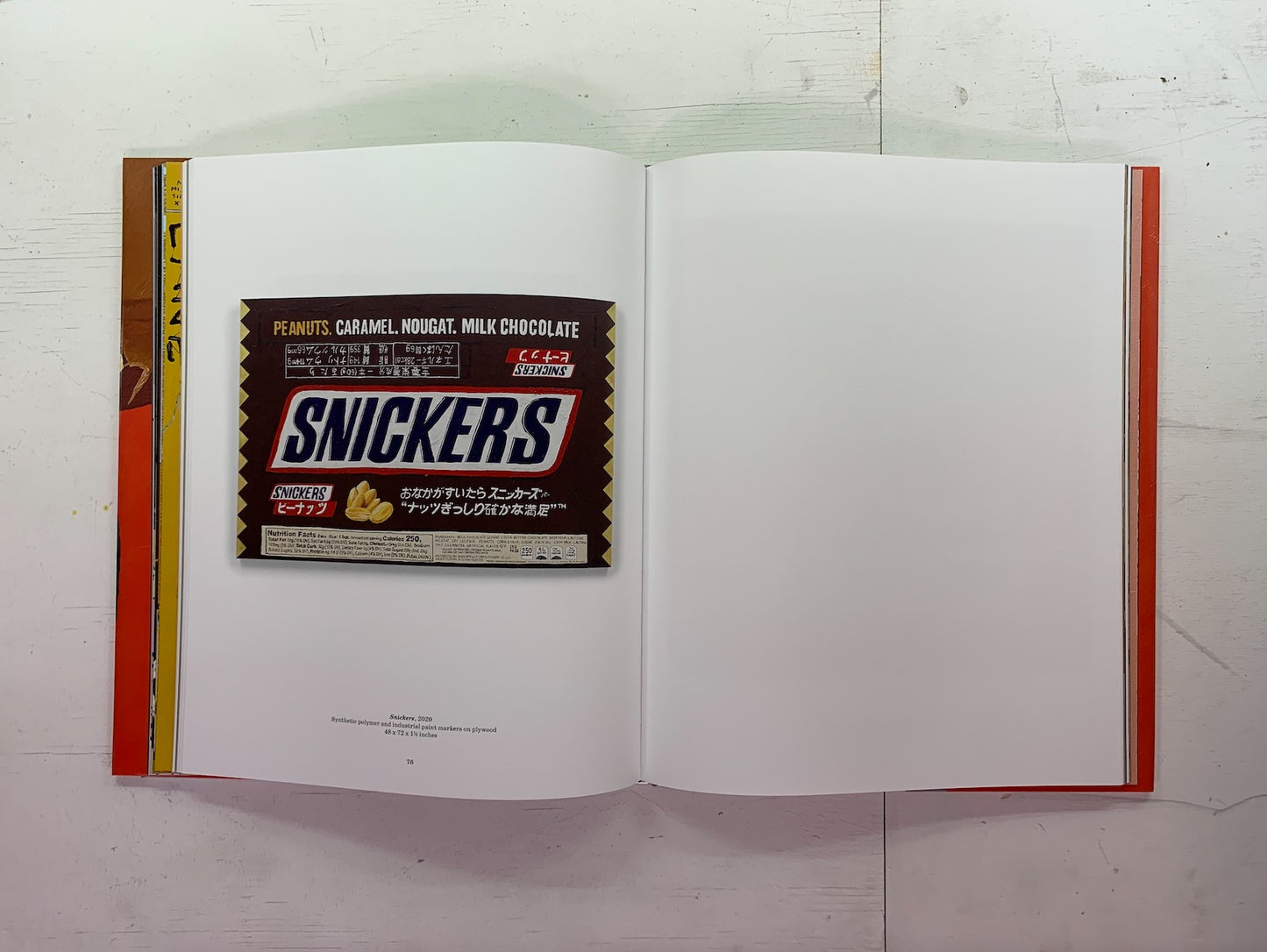 Tom Sachs: Handmade Paintings Hardcover Book
