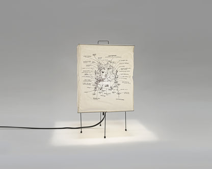 Lunar Excursion Module Lamp