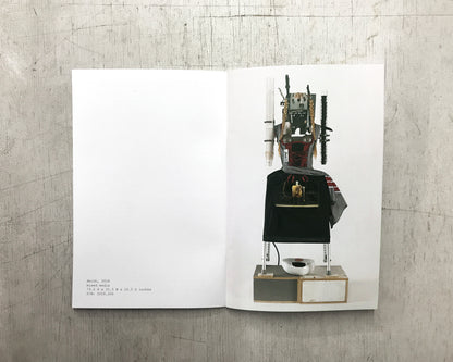 Heidi & The Pack Zine