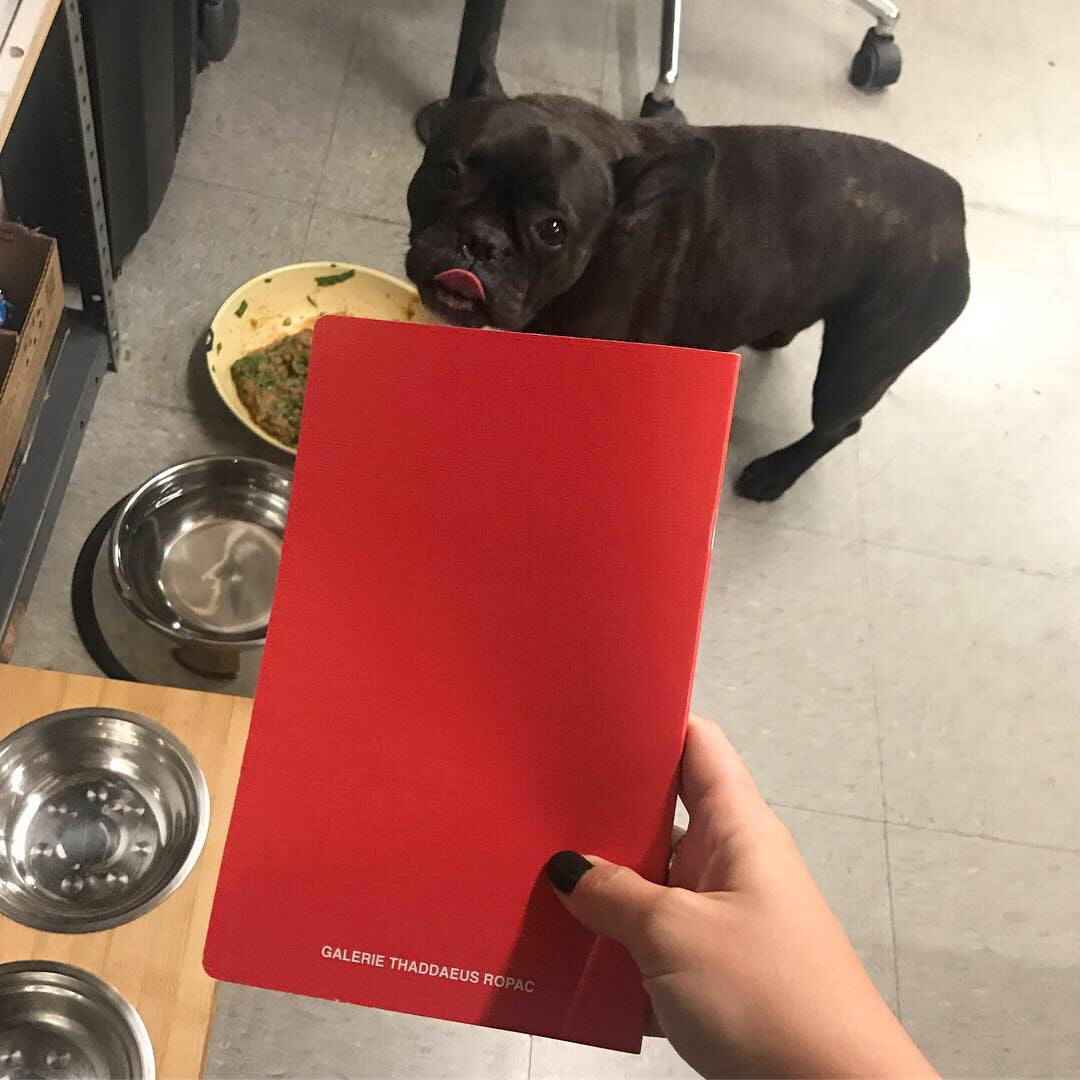 Swiss Passport Office Zine