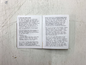 Paradox Bullets Zine