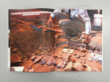 Load image into Gallery viewer, Mars Rock Report