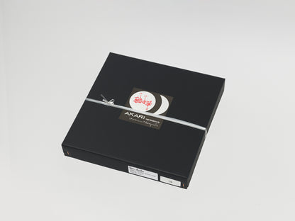 Command Service Module Lamp